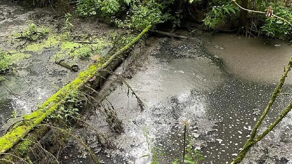 Фото: Минэкологии МО