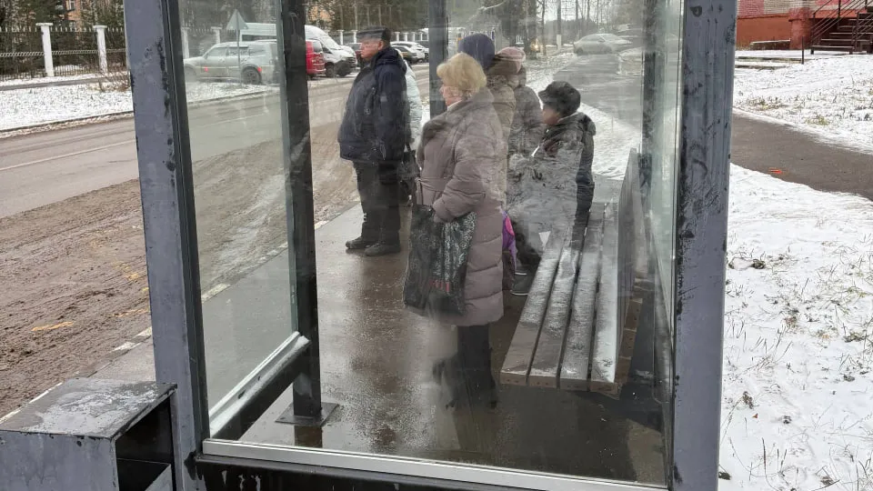 Фото: администрация г.о. Пушкинский