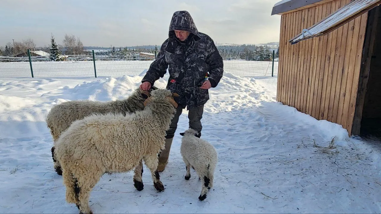 REGIONS/Евгений Рой