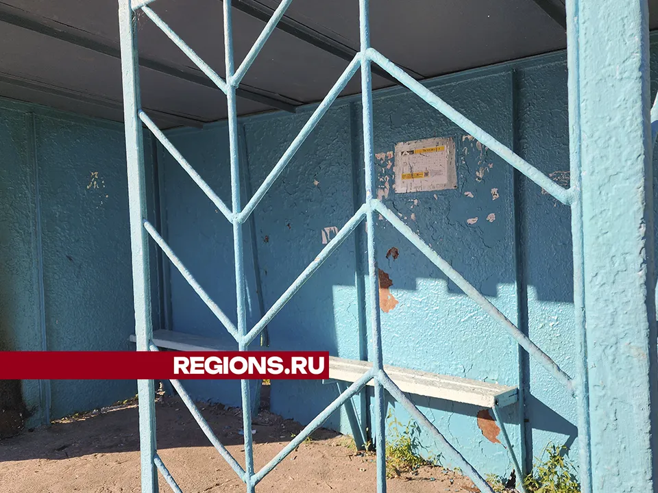 Фото: Андрей Семибратов