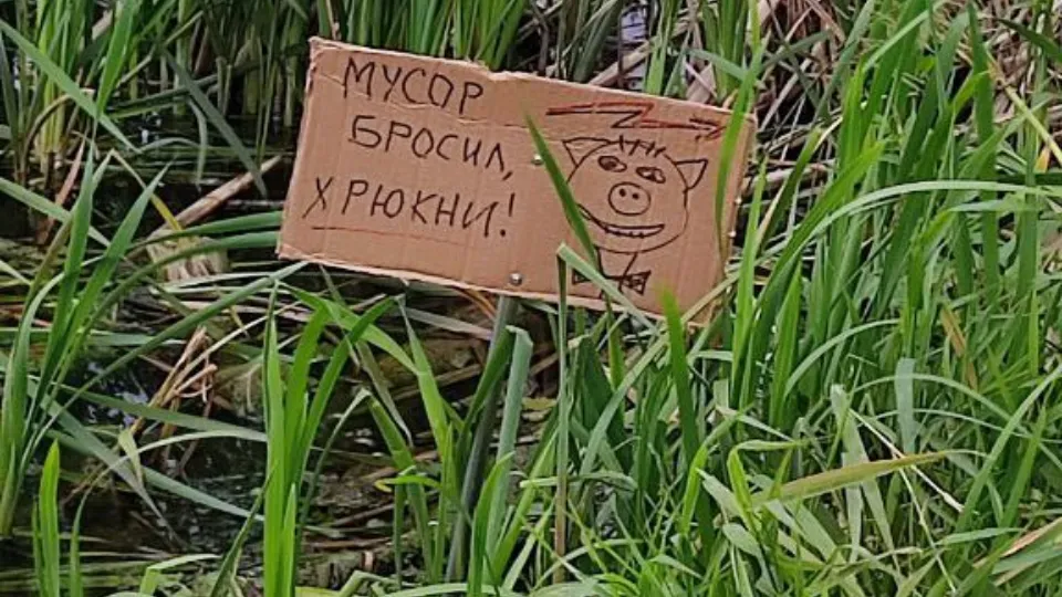 Фото: Сергей Томиловский