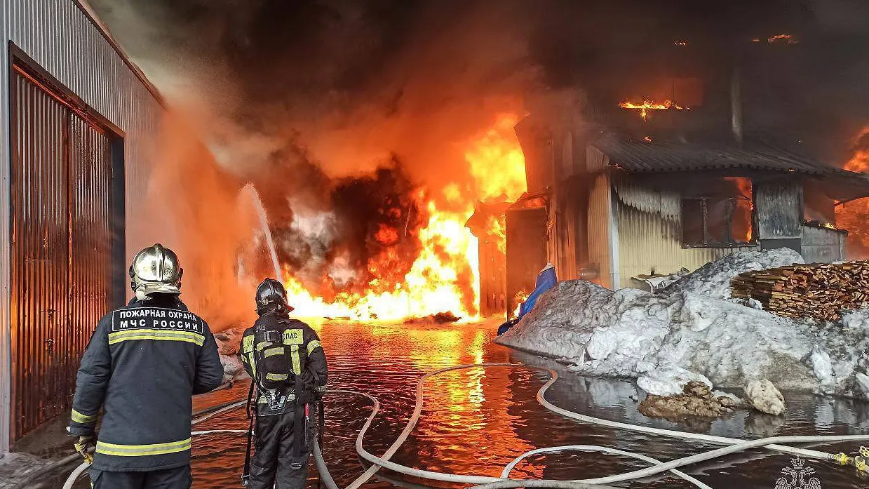 Фото: ГУ МЧС России по Московской области