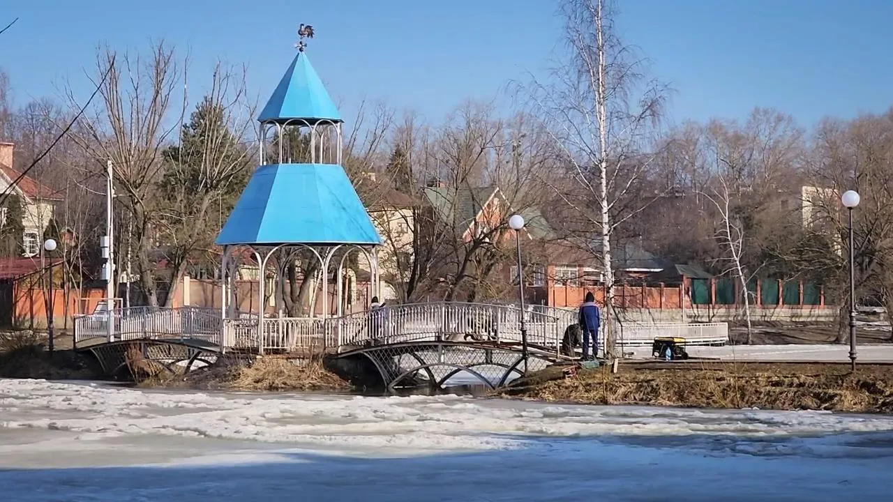 МедиаБанк Подмосковья/Ольга Антонова