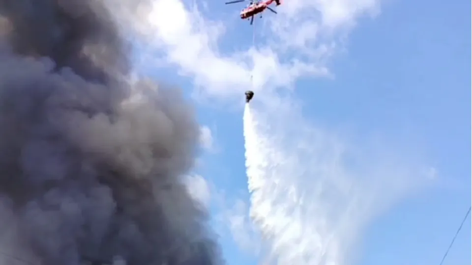 Фото: МЧС России по Московской области