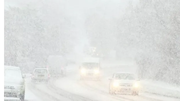 фото:.freepik.com