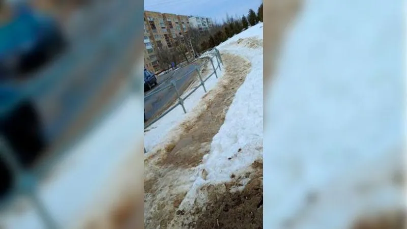 Город «на грани выживания»: навалы снега и фекалий ужаснули жителей Можайска