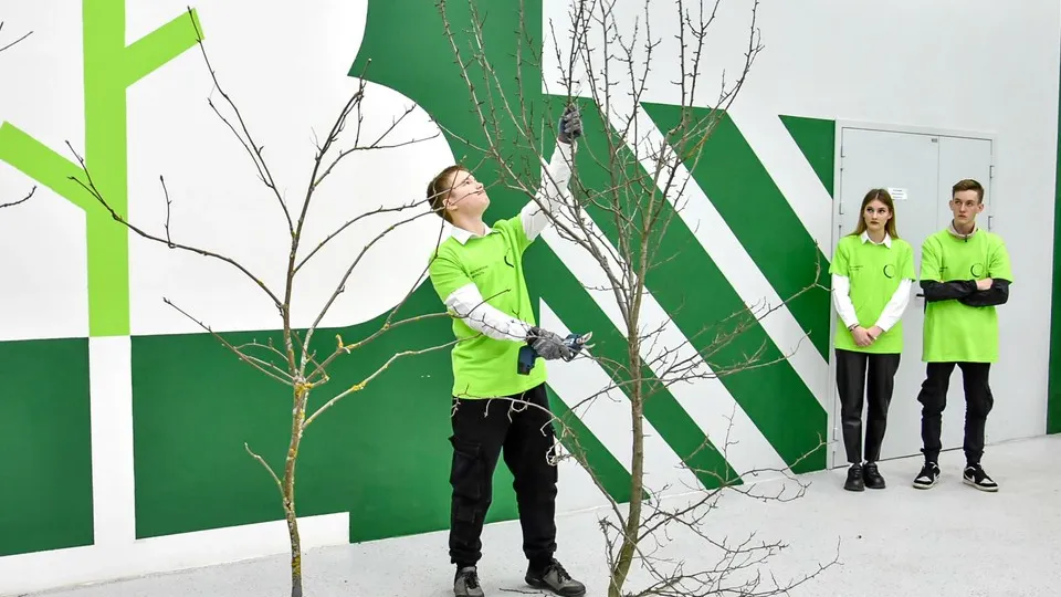 Фото: Луховицкий аграрно-промышленный техникум