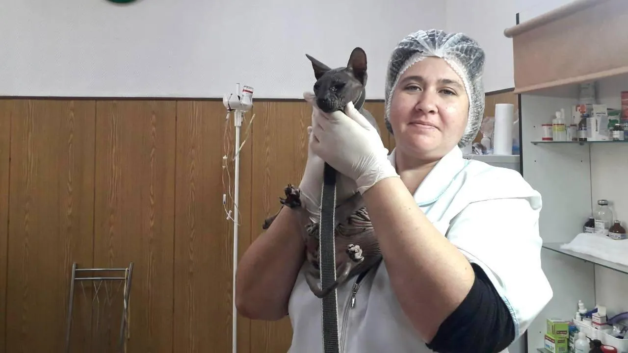 пресс-служба министерства сельского хозяйства и продовольствия МО