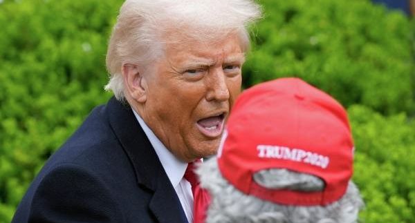Политолог Хасанов сравнил заявления Трампа с катаниями на американских горках