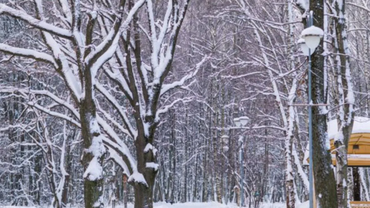 Фото: медиасток.рф