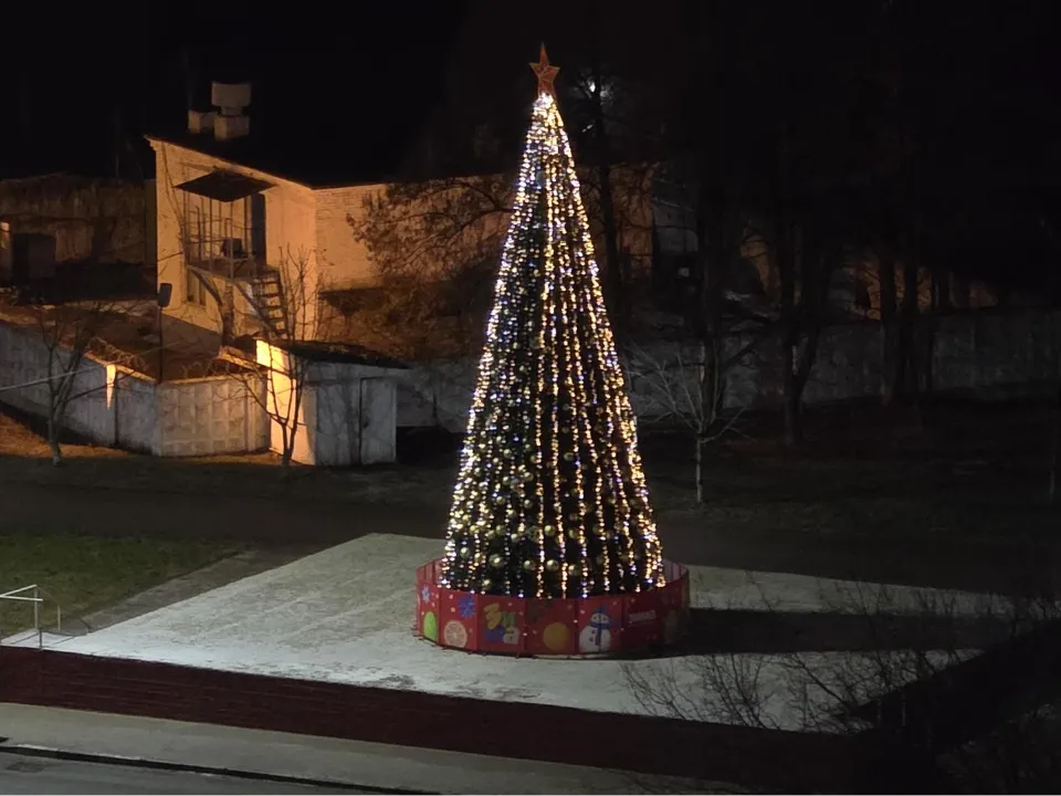 Фото: МедиаБанк Подмосковья/Мария Юдина