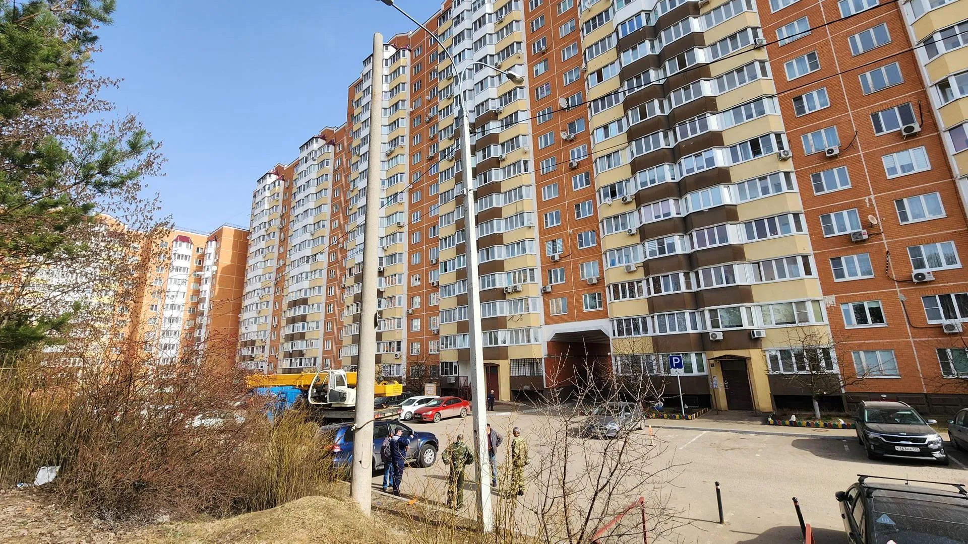 Медиа – Анастасия Сараева