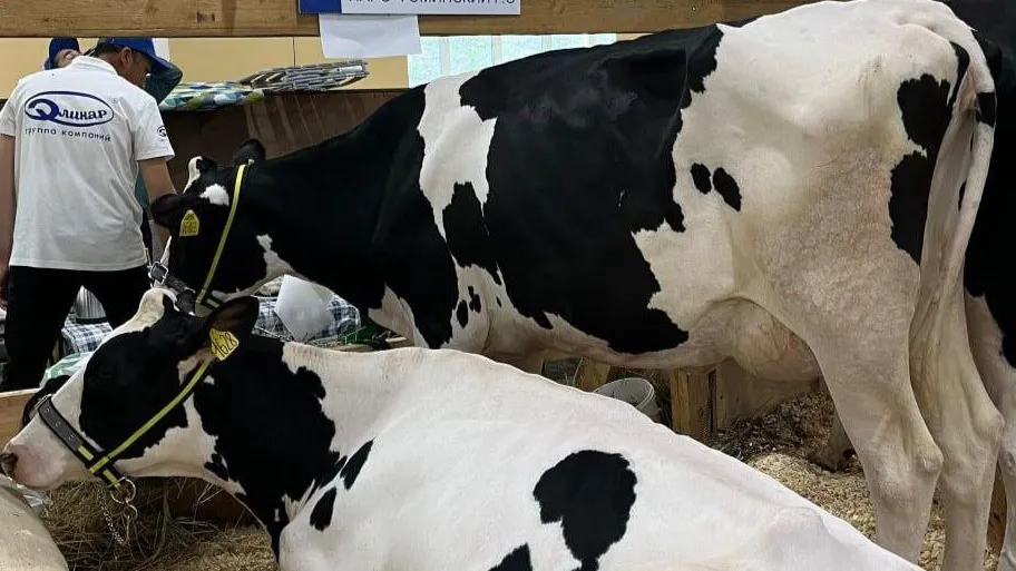 Фото: пресс-служба администрации Наро-Фоминского г.о.