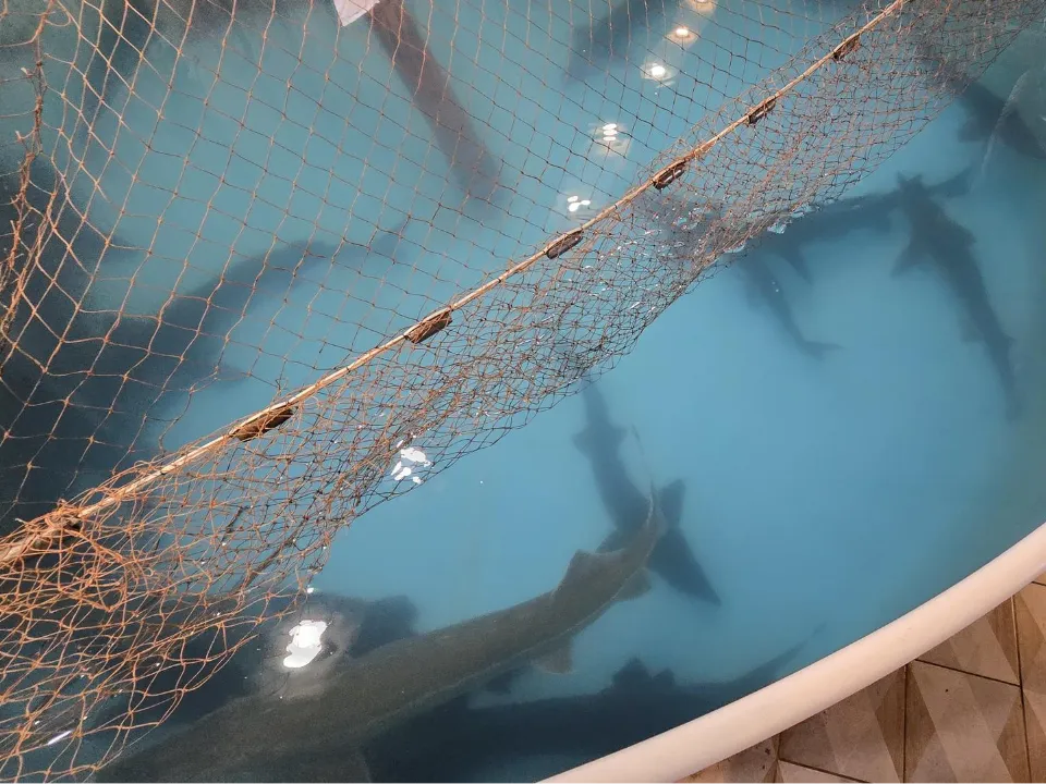 Фото: Марина Анисимова