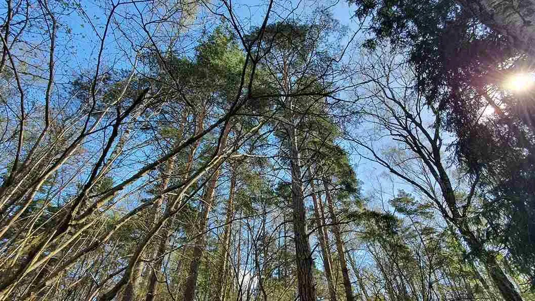 Фото: Наталия Надточая