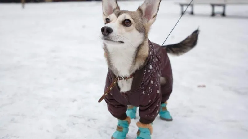 Минсельхоз МО