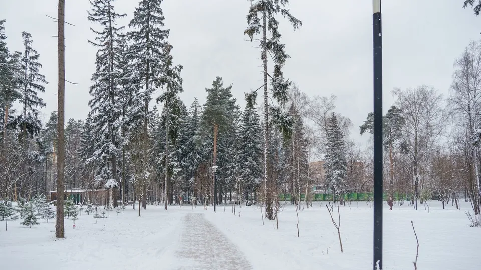 Фото: медиасток.рф