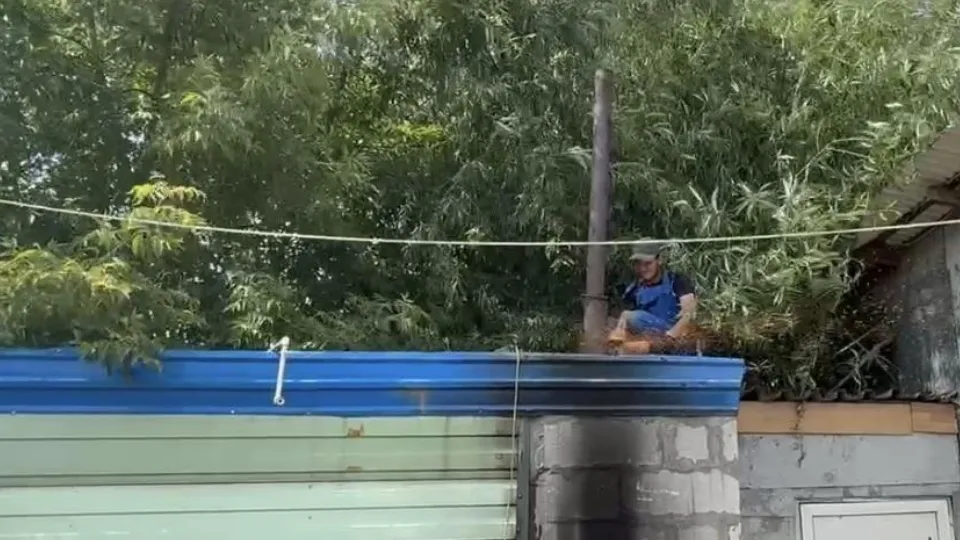 Фото: пресс-служба администрации Ленинского г.о.