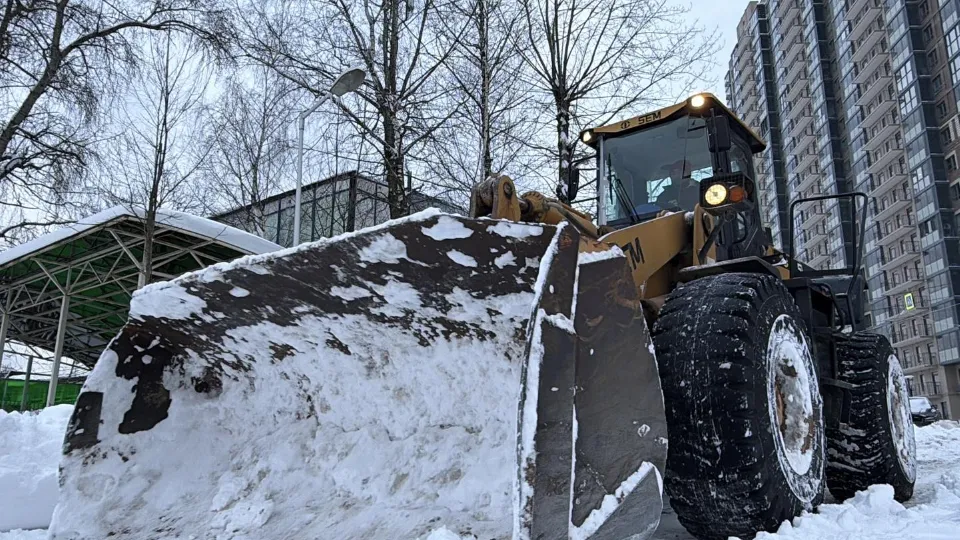 Фото: REGIONS/Мария Шматкова