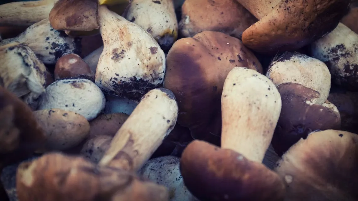 Фото: unsplash.com