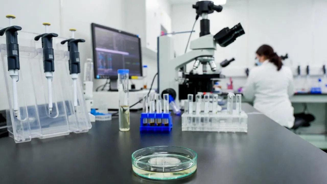 ЭКО без греха: священник Павел Островский назвал условия допустимости процедуры для верующих