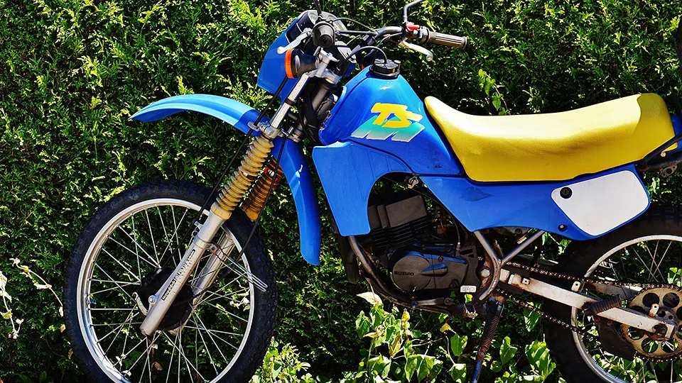 Фото: pxhere.com