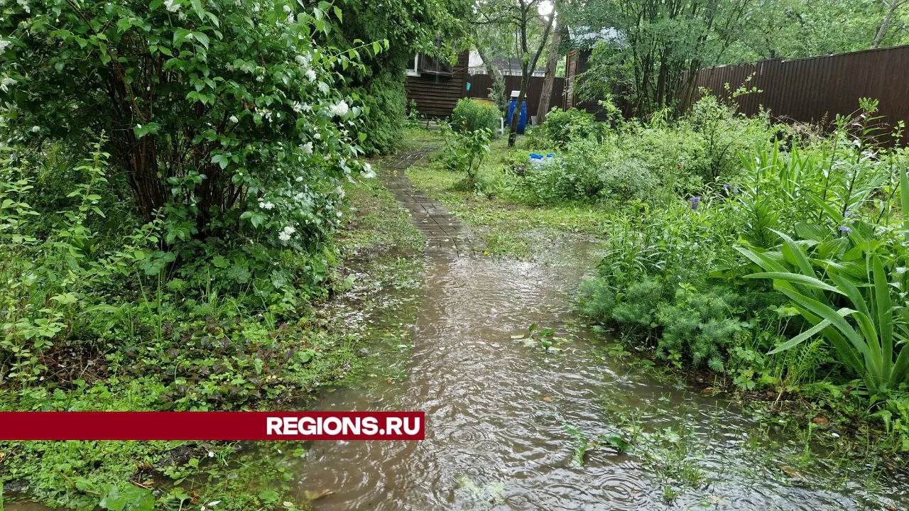 Фото: Александра Семенова