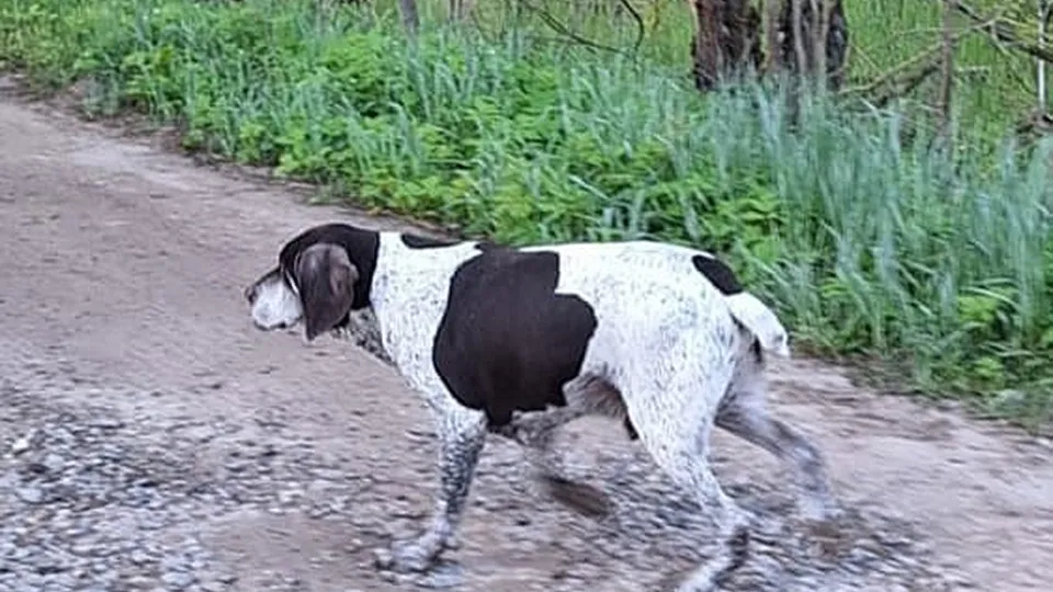 Фото: городская доска объявлений