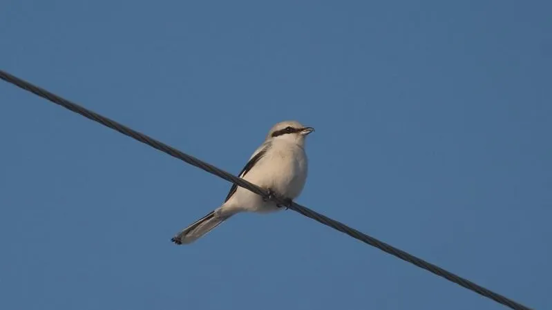 Министерство экологии и природопользования Московской области