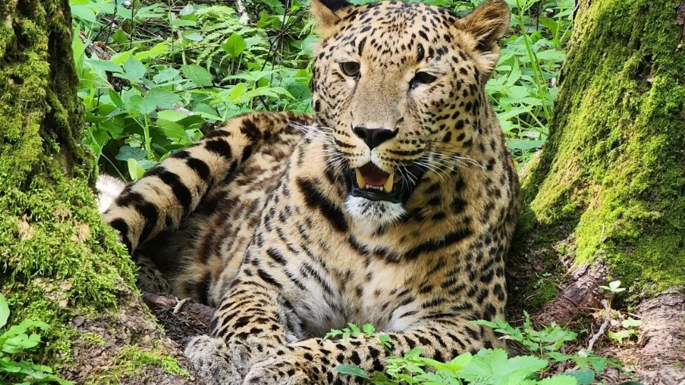 Фото: Яна Шаливская