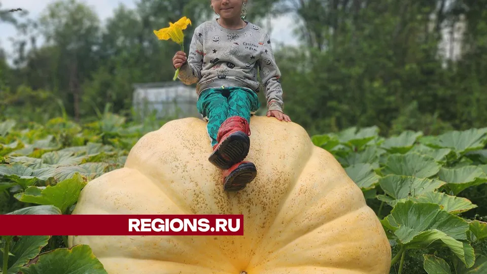 Фото: Дмитрий Беденко