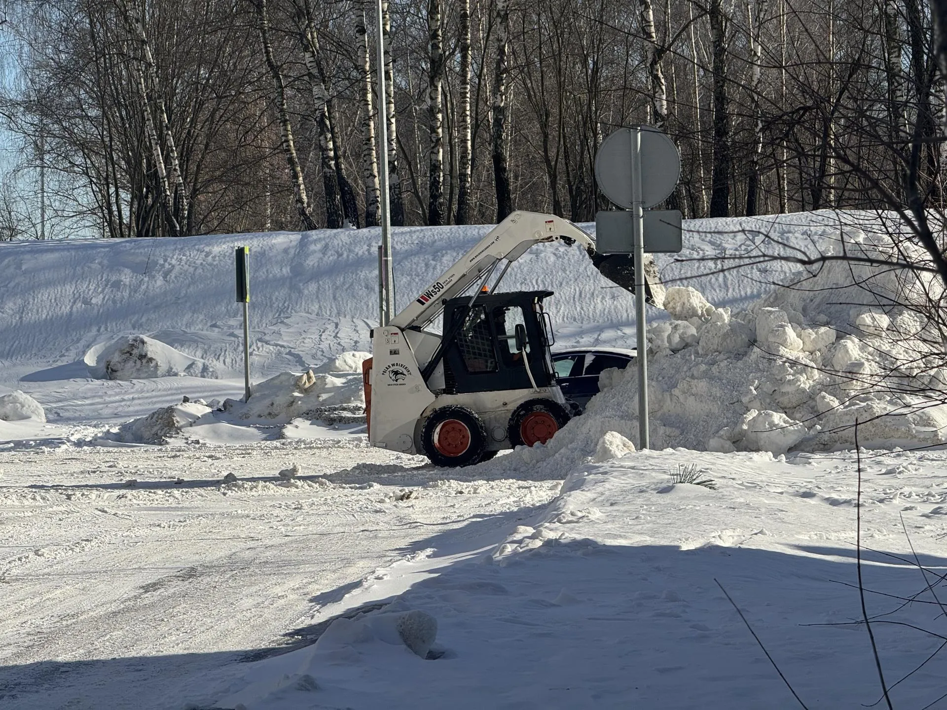 Полина Абраменко
