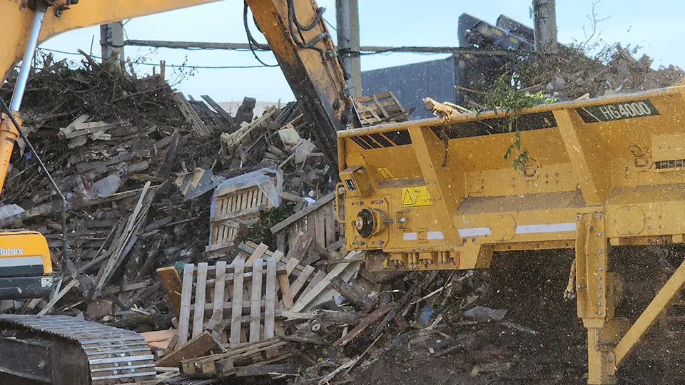 Фото: МедиаБанк Подмосковья/Нина Басистая