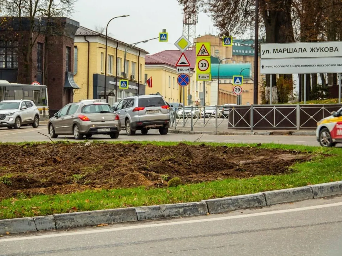 Фото: пресс-служба администрации Наро-Фоминского г.о.&nbsp;