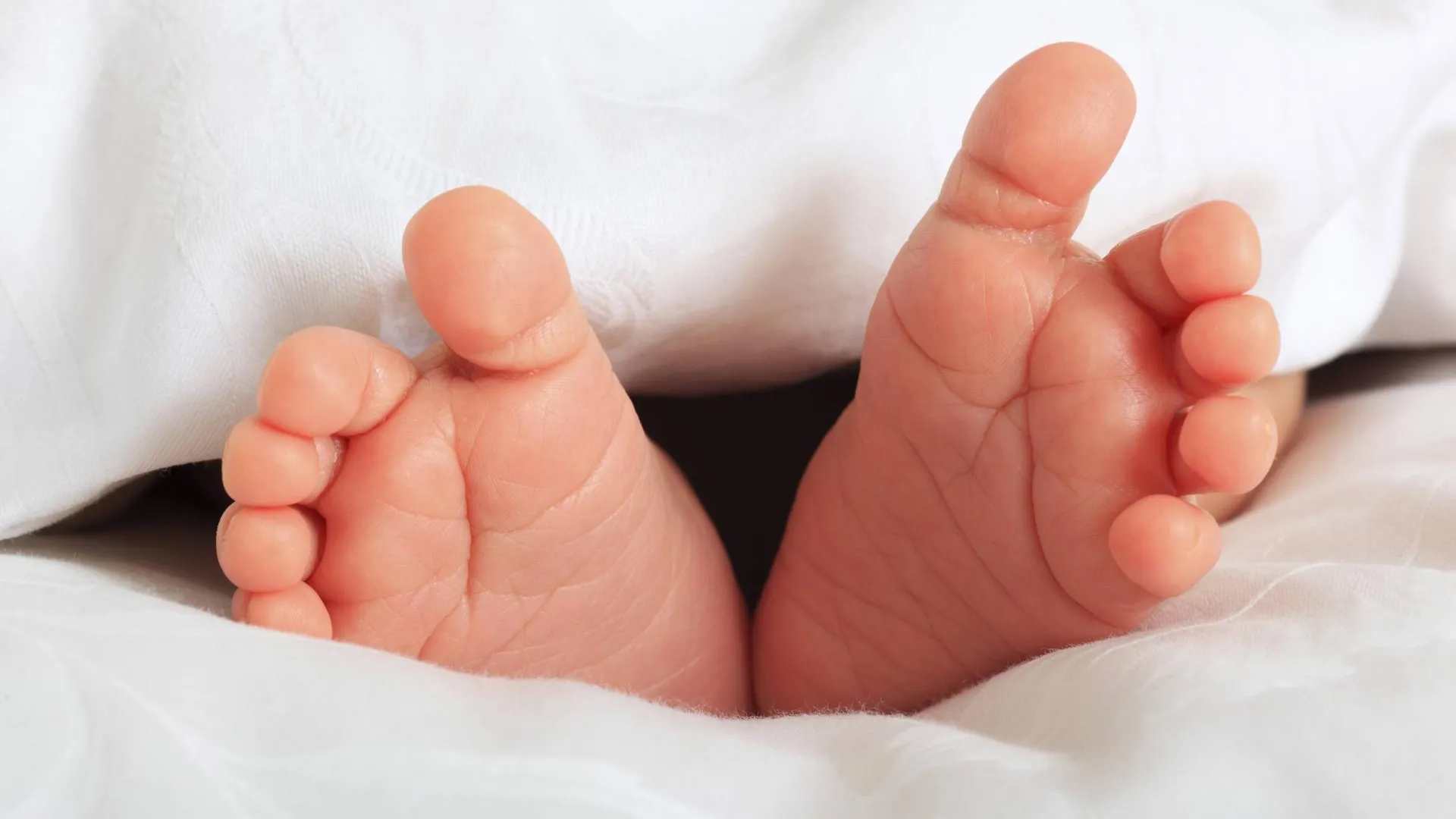 P. Frischknecht/blickwinkel/Global Look Press