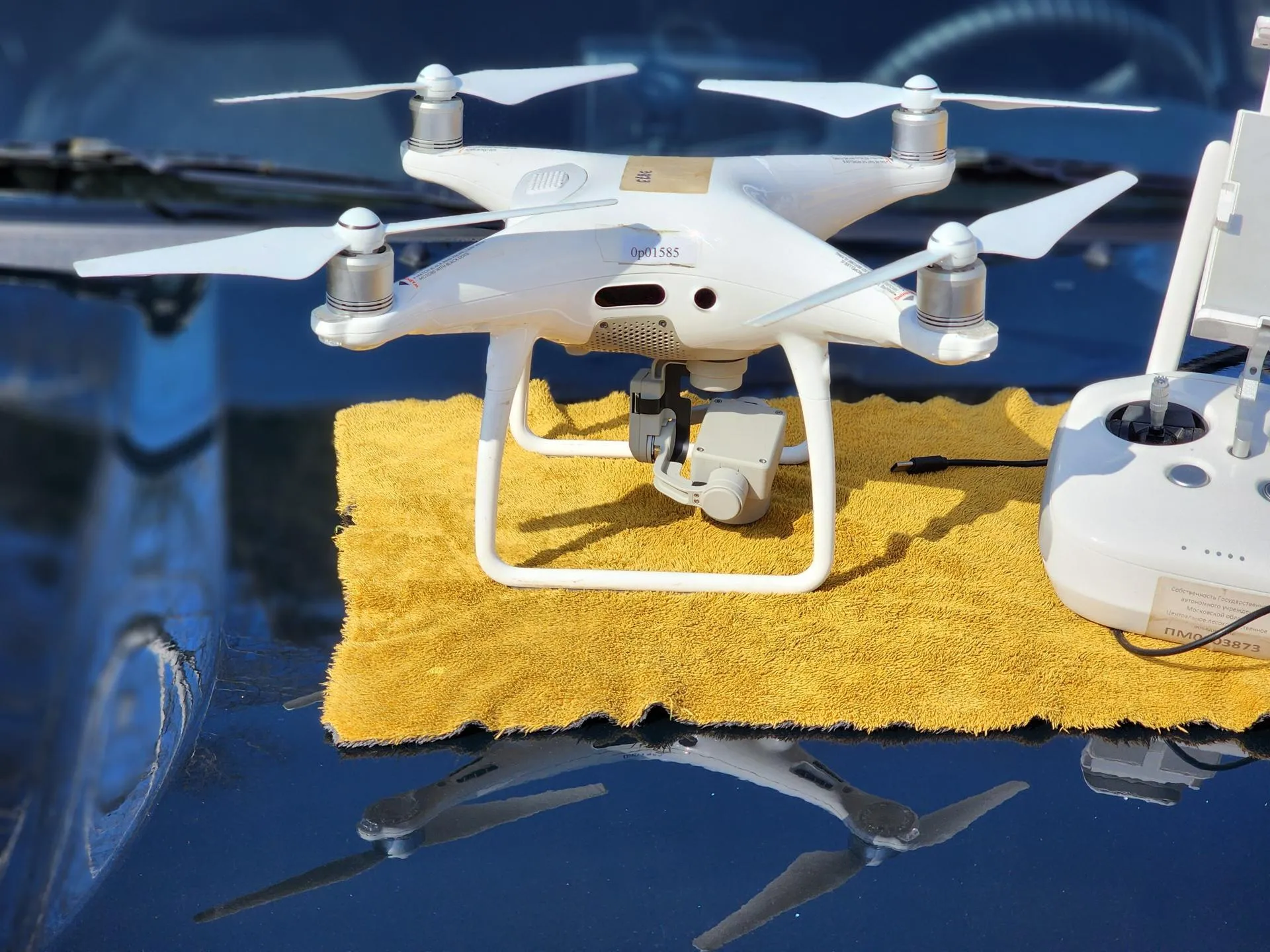 REGIONS/Елена Шумакова