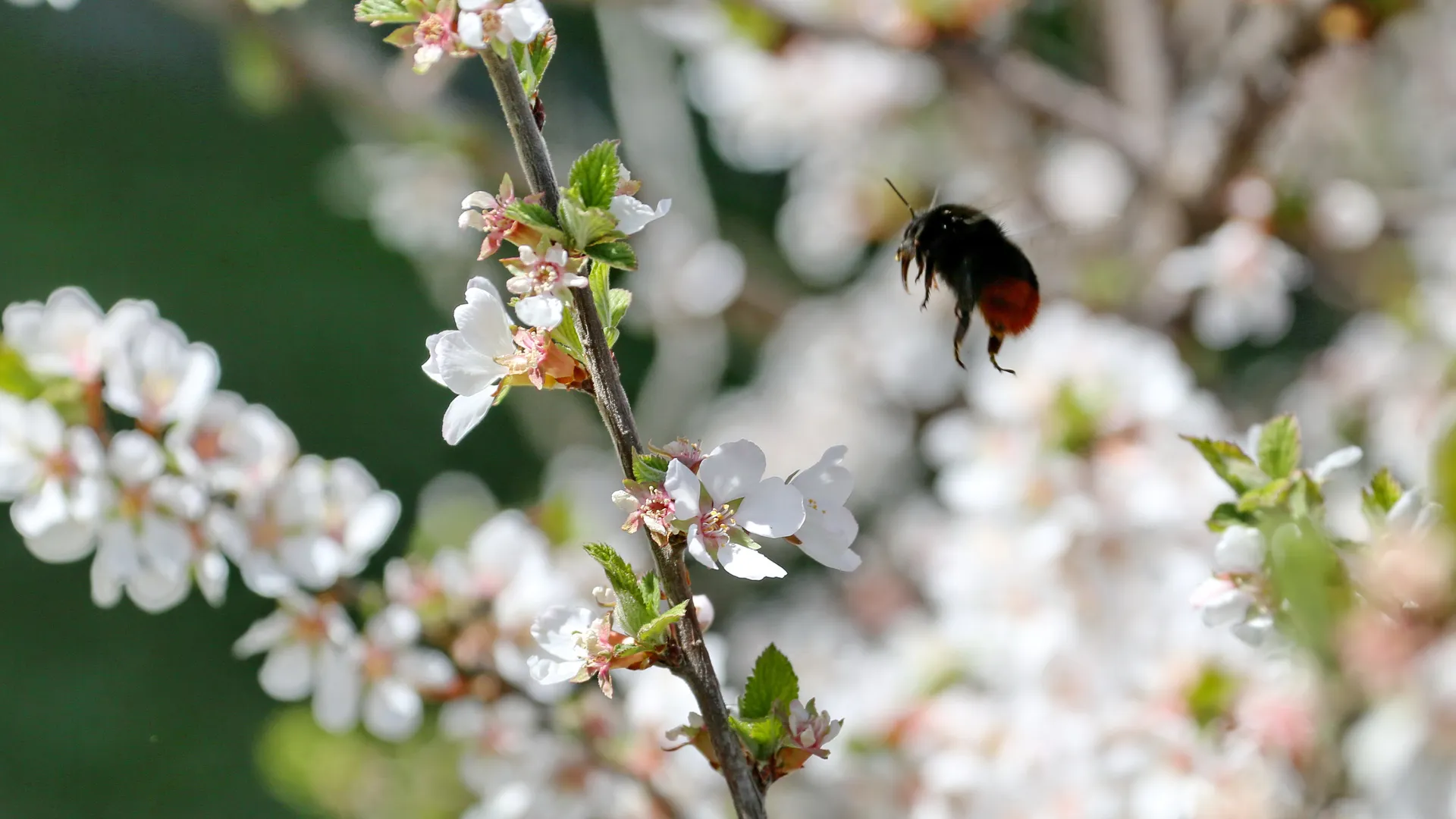 Россиян ждет климатический обман: что будет с весной 2026 года