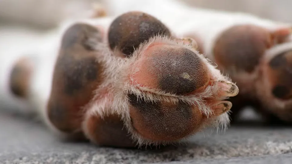 Фото: freepik.com