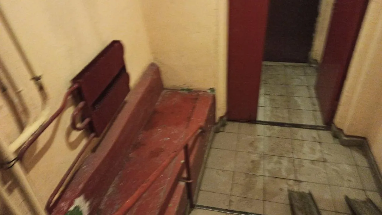 Телеграмм-канал «Балашиха рулит!»