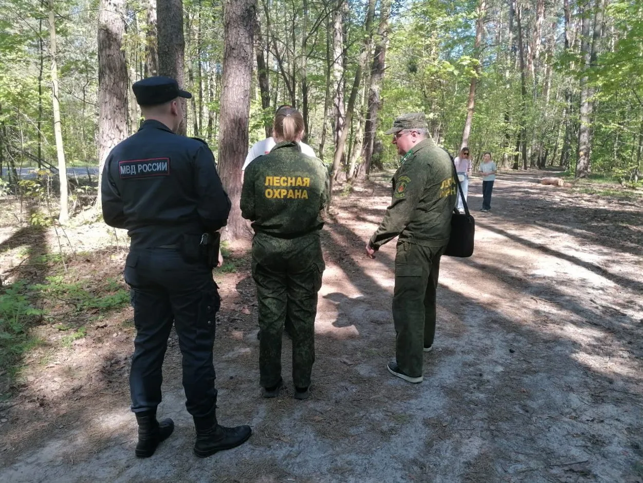 Фото: Комитет лесного хозяйства Московской области