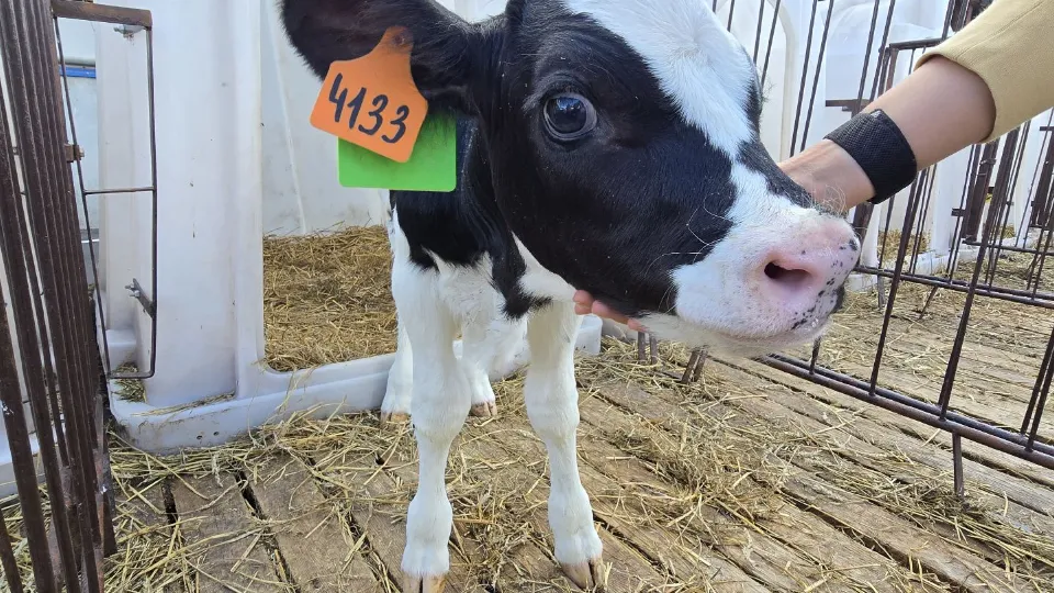 Фото: Марина Анисимова