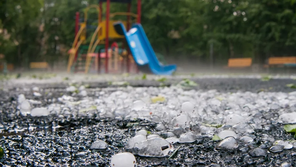 Фото: РИА Новости/Дмитрий Паршин