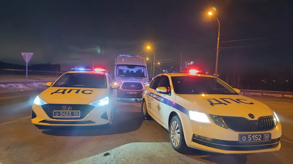 Фото: Медиаархив Подмосковья