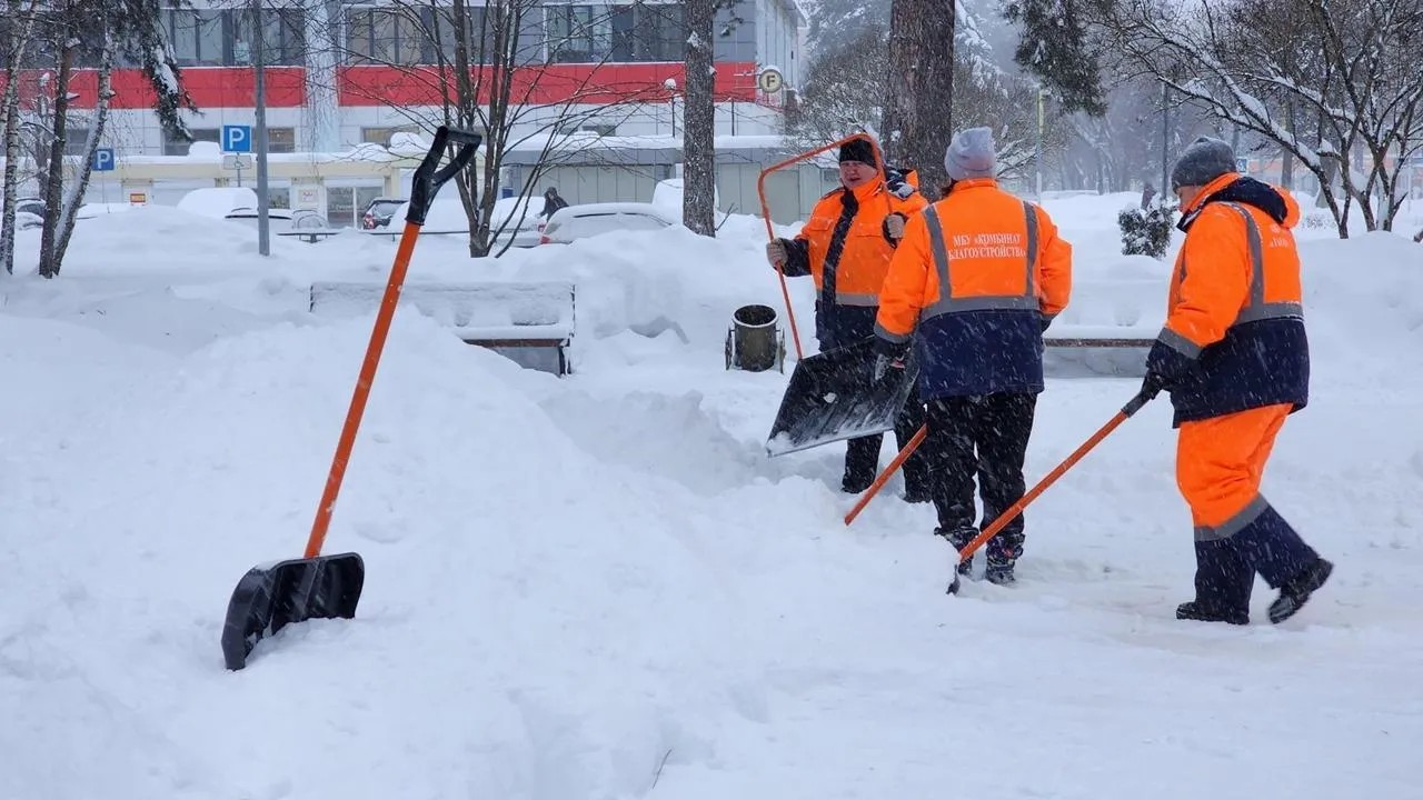 REGIONS/Анна Мороз