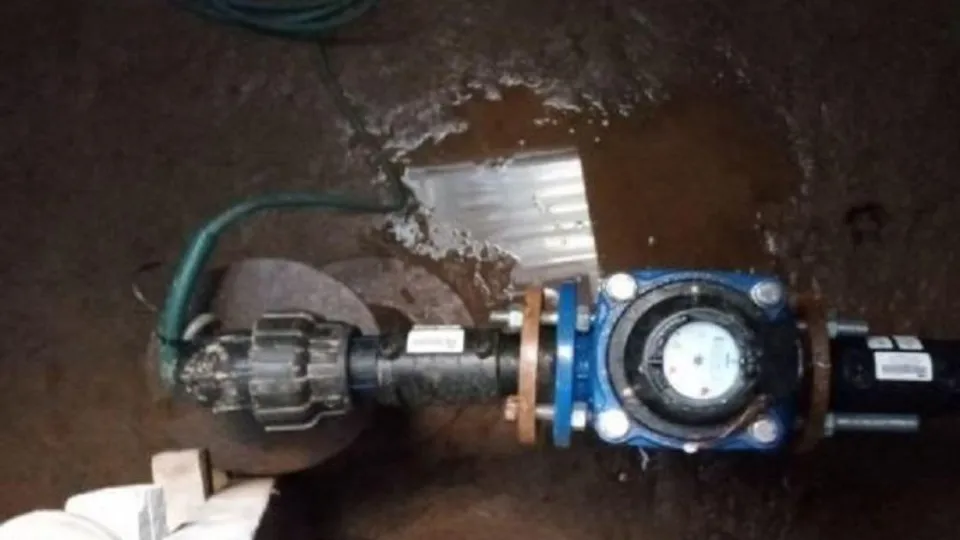 Фото: Министерство экологии и природопользования Московской области