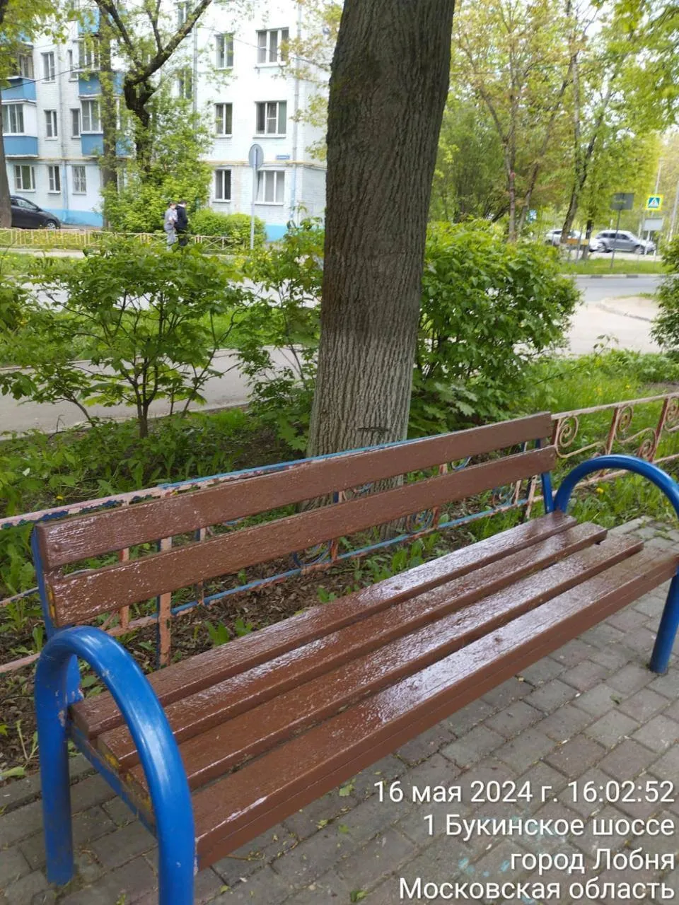 Пресс-служба городского округа Лобня
