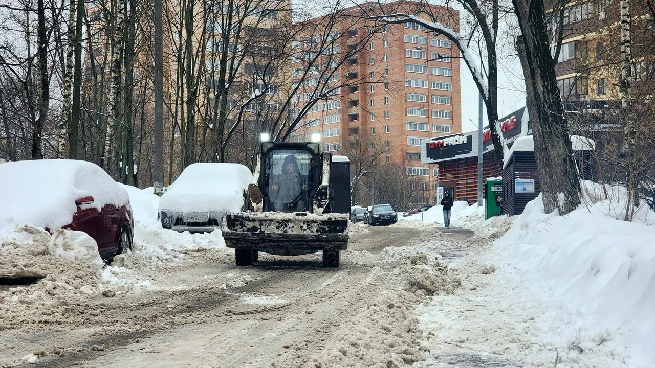 МедиаБанк Подмосковья/Мария Овчинникова