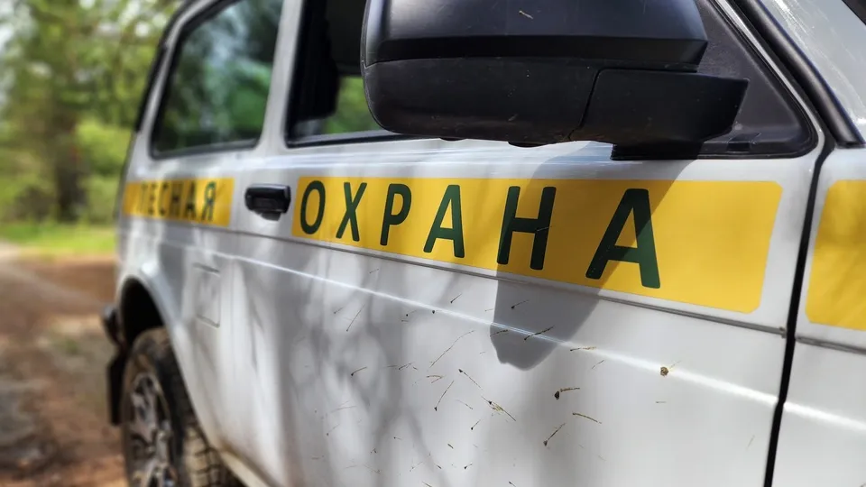 Фото: МедиаБанк Подмосковья/Светлана Плотникова