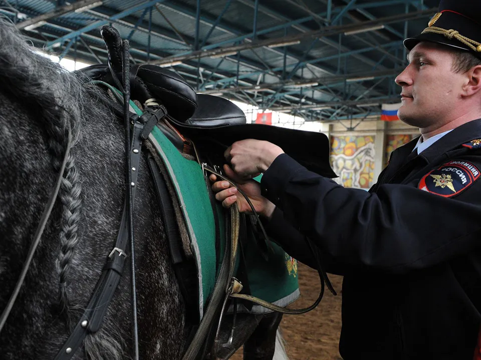 Фото: медиасток.рф