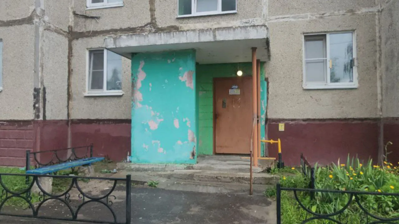Фото: МедиБанк Подмосковья/Скавронова Юлия